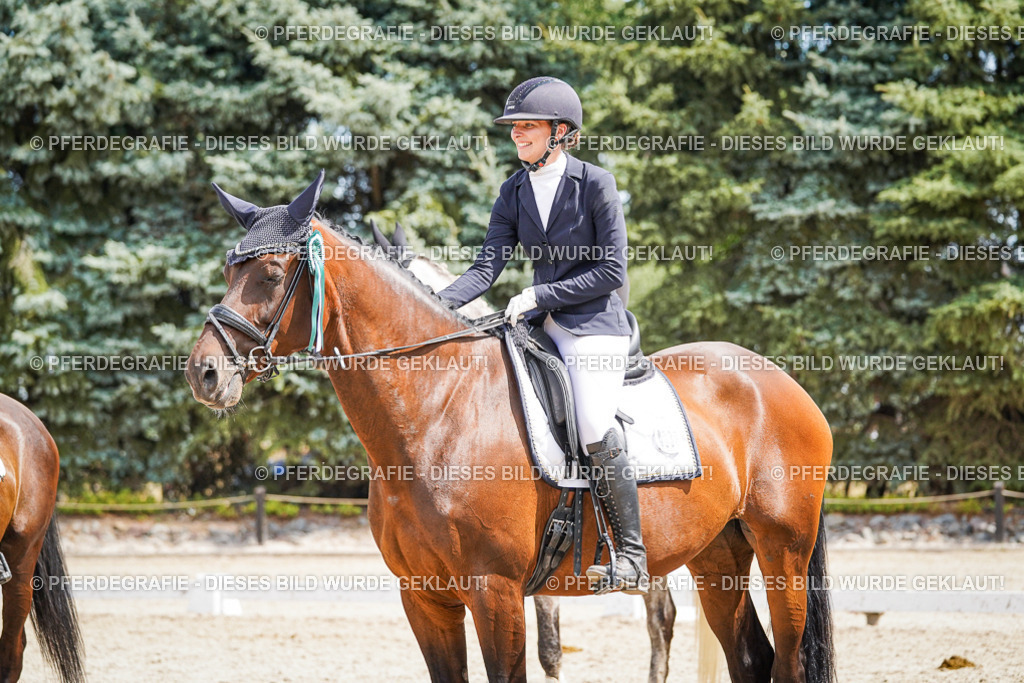 DSC02279 | Pferdegrafie