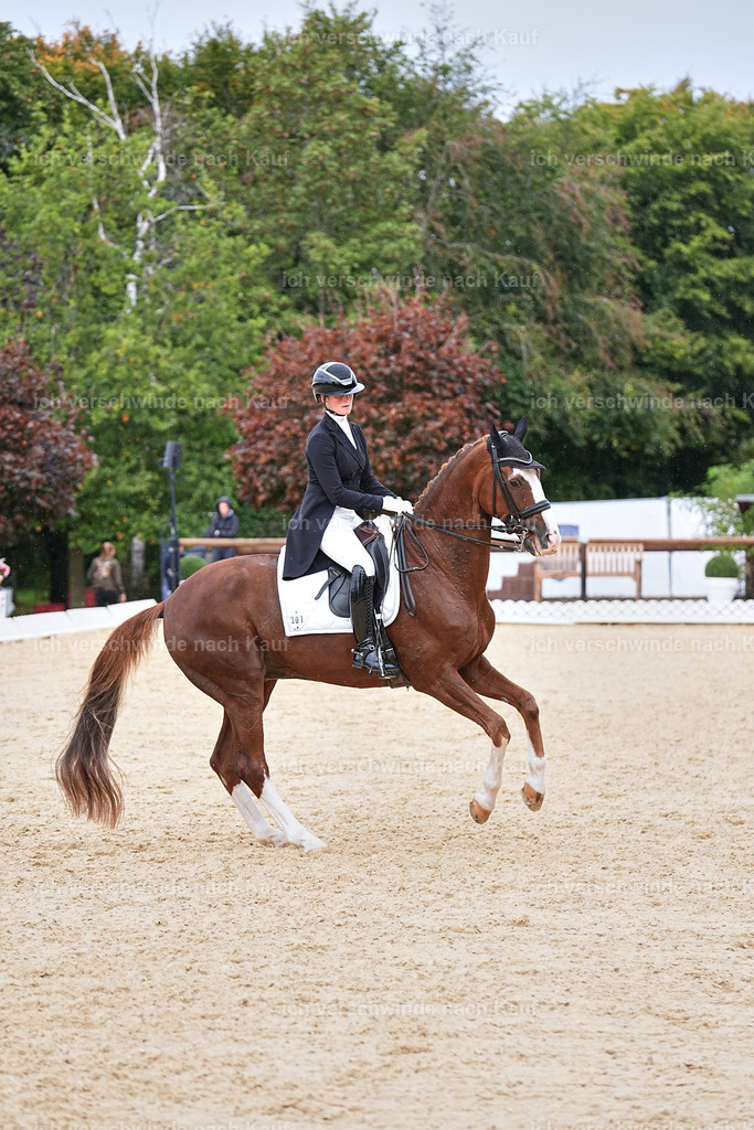 11-201-Dressur S___-Marixx-1771 | working equitationturnier fotograf videograf stoibphotography marixx film working equitation deutschland reitsport turnierfotografie eventfotografie equestrian events