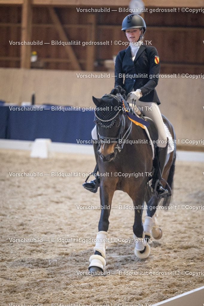 _D5A2054 | Emotionale Pferde- & People-Fotografie rund um Heidelberg, Leimen & Umgebung. Natürliche Fotos von Pferd, Mensch & Familie. Jetzt Termin sichern!