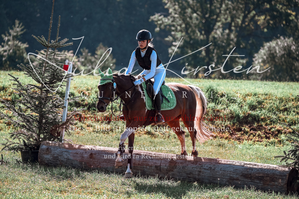 DSC_0836 | Pferde- und Turnierfotografie in Westsachsen. Pferdeportraits, Auftragszeichnungen und intuitive Kunst.