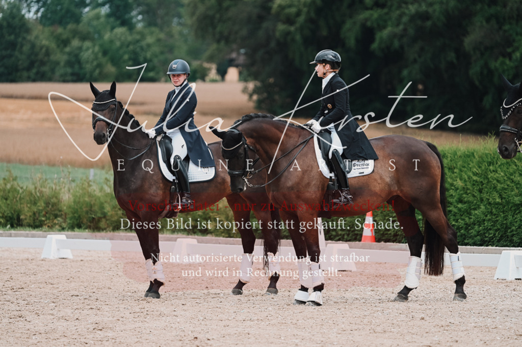 DSC_4398 | Pferde- und Turnierfotografie in Westsachsen. Pferdeportraits, Auftragszeichnungen und intuitive Kunst.