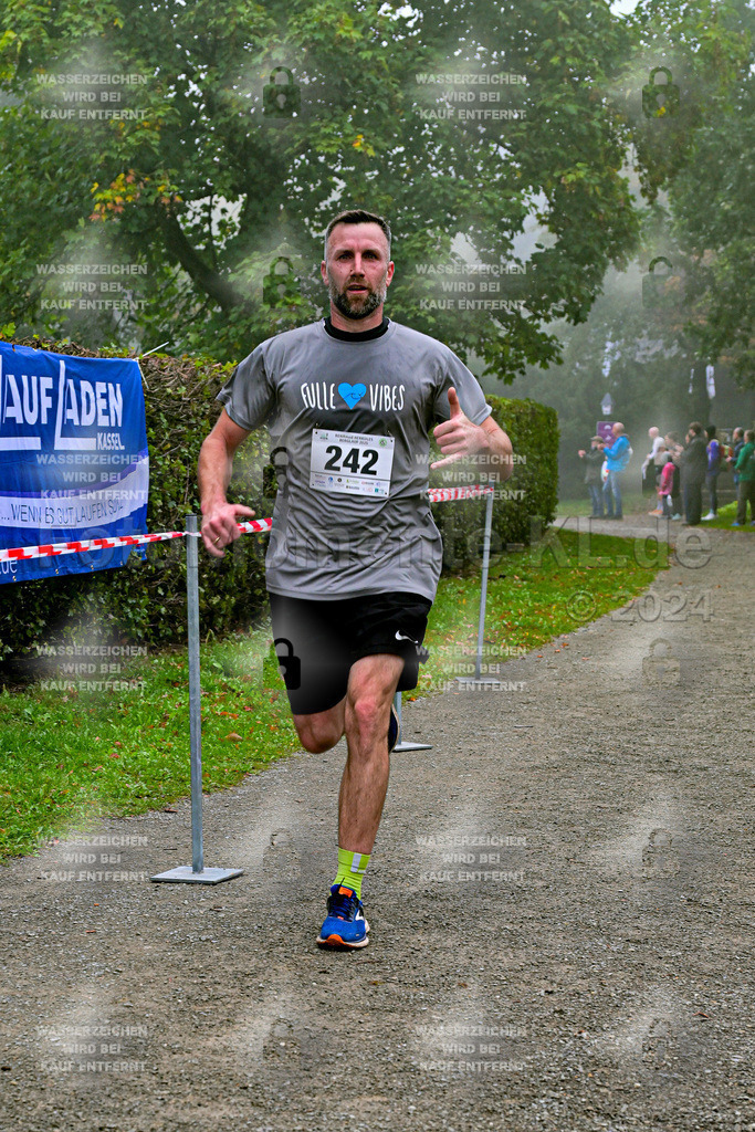 Z8N_1709 | la-psv - Realisiert mit Pictrs.com