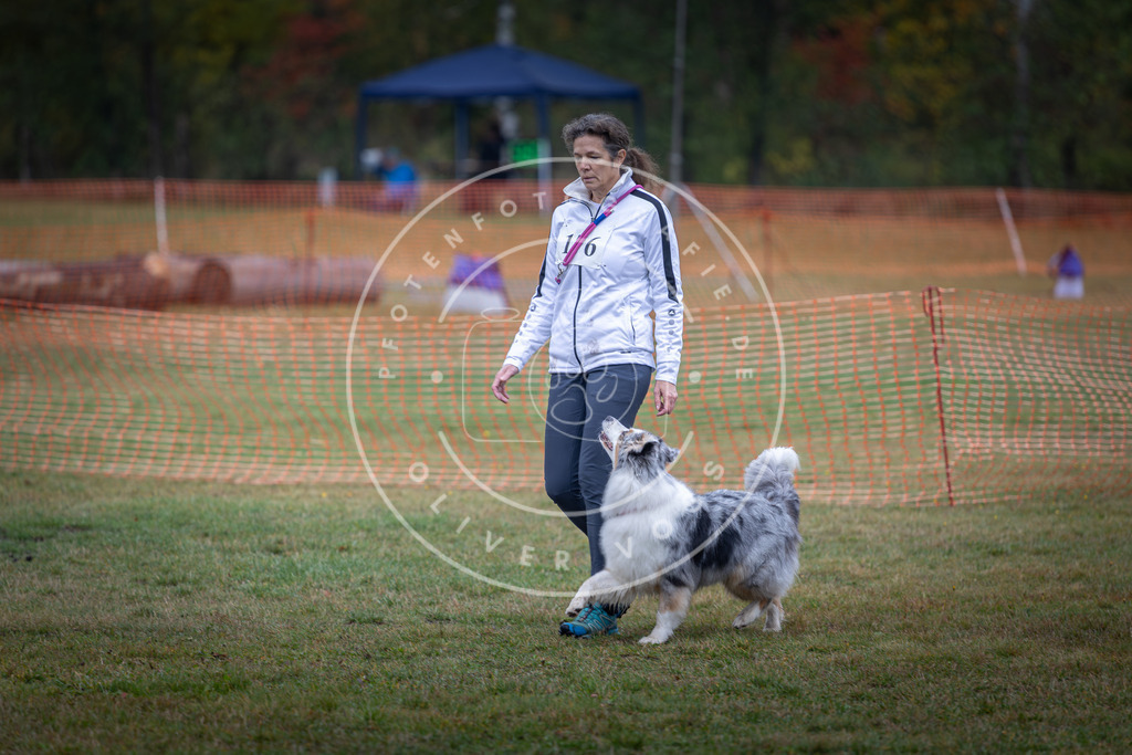 Pfotenfotografie_DV3A9385 | Hundefotografie, Tierfotograf, Pfotenfotografie, Fotoshooting Hund, Hunde Portrait, Hundesport, Hundeportraits, Heideshooting, Hunde, Sportfotograf, Hundefotograf, Turnierhundsport, THS,  - Realisiert mit Pictrs.com