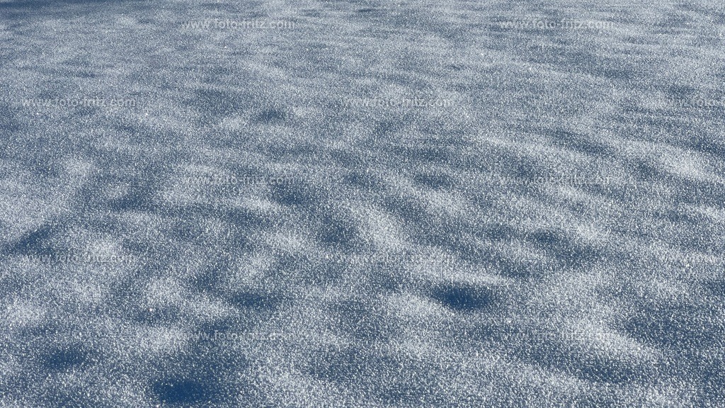 IMG_E6759 | www.foto-fritz.com - Realisiert mit Pictrs.com