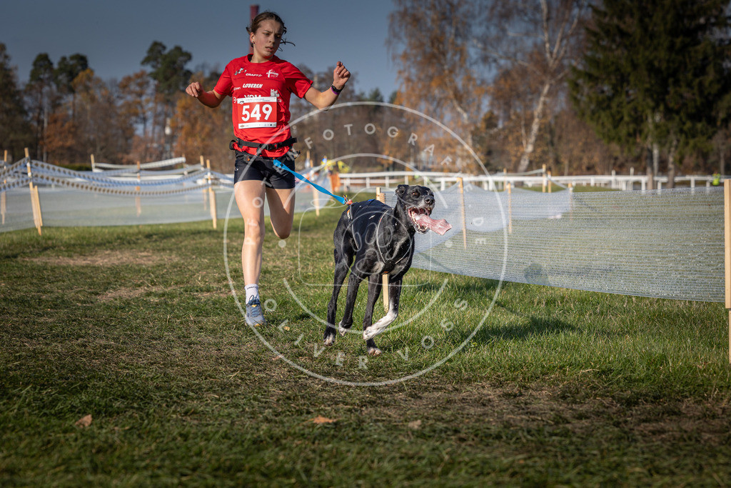 CaniXpix_0L8A9063 | Hundefotografie, Tierfotograf, Pfotenfotografie, Fotoshooting Hund, Hunde Portrait, Hundesport, Hundeportraits, Heideshooting, Hunde, Sportfotograf, Hundefotograf, Turnierhundsport, THS,  - Realisiert mit Pictrs.com