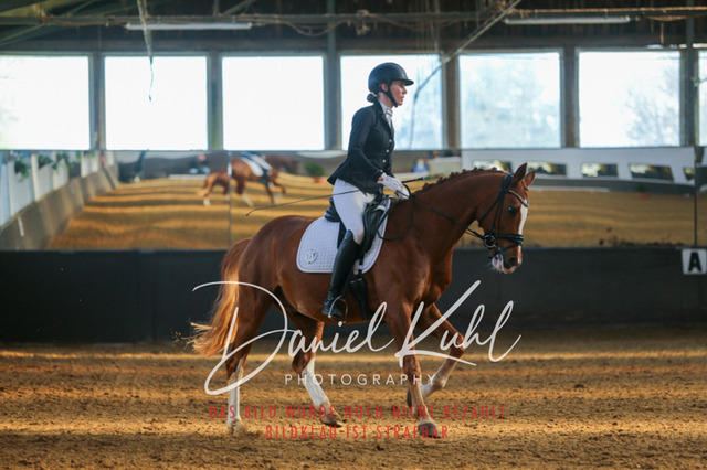 IMG_3035 | Turniersportfotografie; Pferdefotografie; Dressurfotografie