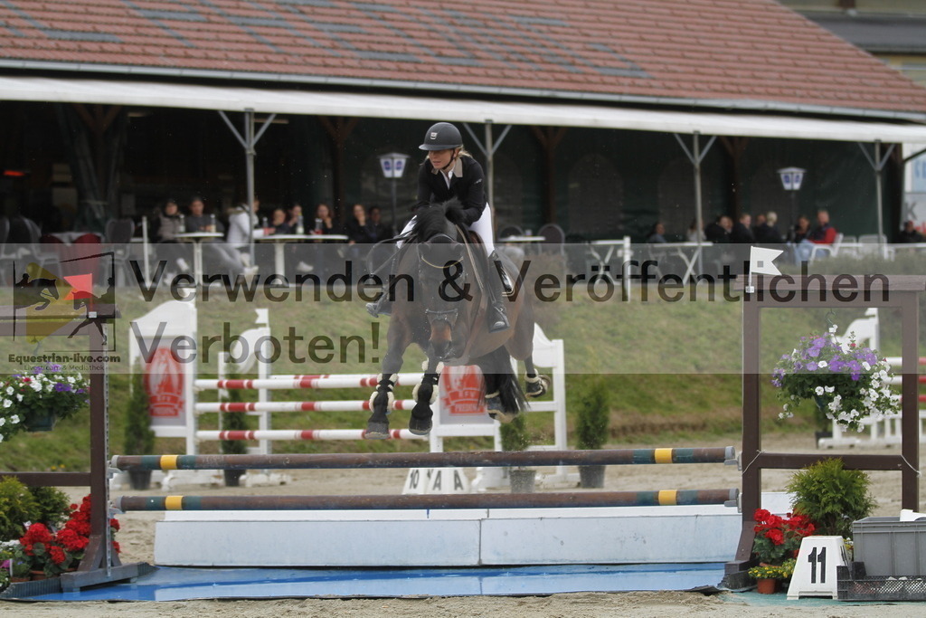 _MG_3161 | equestrian-live-com