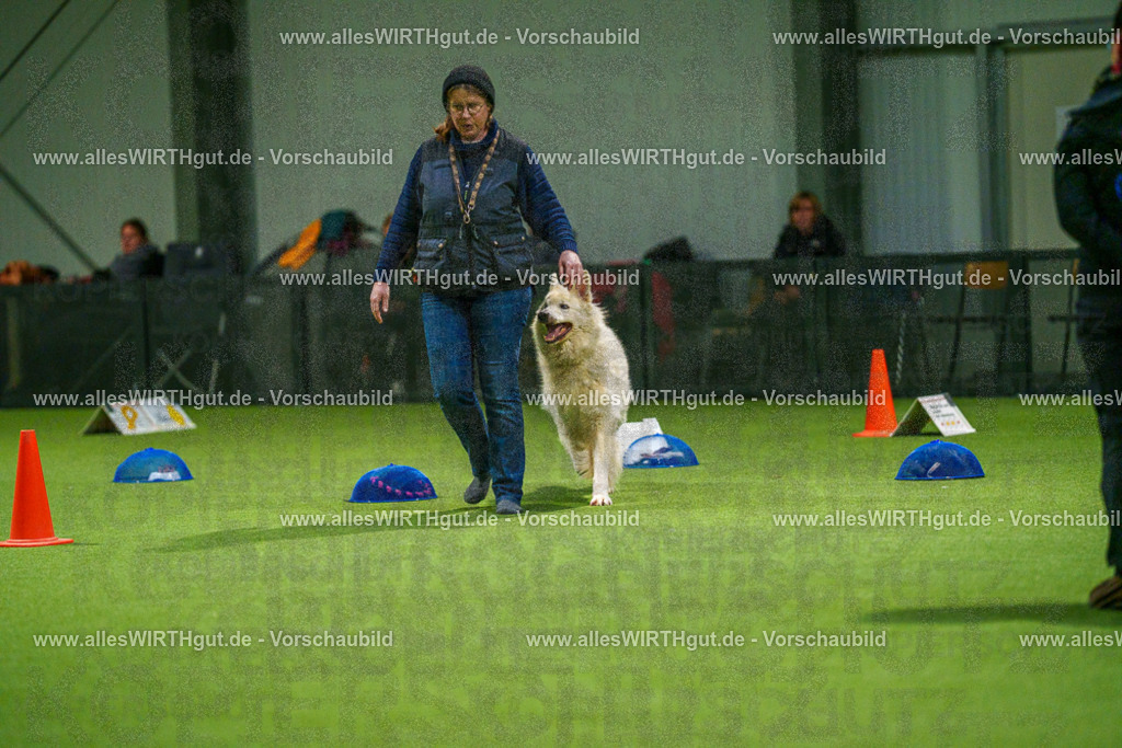 7R504220 | Professionelle Tierfotografie in Mönchengladbach von Daniel Wirth (allesWIRTHgut). Liebevolle & natürliche Bilder von Hunden & Katzen für unvergessliche Erinnerungen.