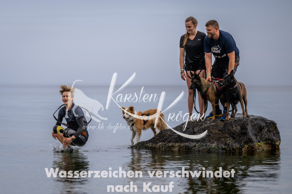 1223_ZZ91384 | kk-dogfotos
