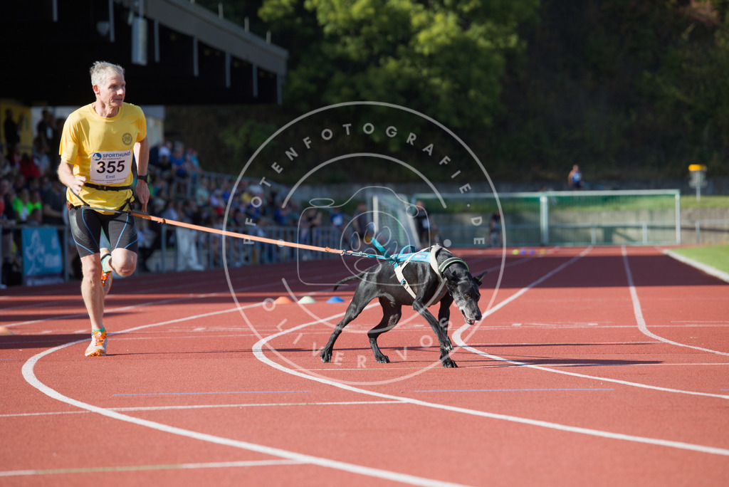 0L8A9984 | Hundefotografie, Tierfotograf, Pfotenfotografie, Fotoshooting Hund, Hunde Portrait, Hundesport, Hundeportraits, Heideshooting, Hunde, Sportfotograf, Hundefotograf, Turnierhundsport, THS,  - Realisiert mit Pictrs.com