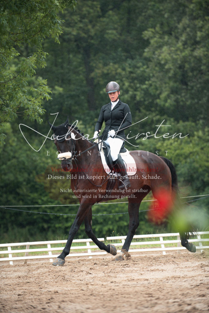 DSC_9713 | Pferde- und Turnierfotografie in Westsachsen. Pferdeportraits, Auftragszeichnungen und intuitive Kunst.