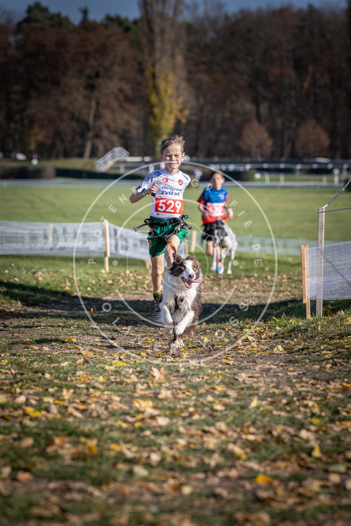 CaniXpix_DV3A8220 | Hundefotografie, Tierfotograf, Pfotenfotografie, Fotoshooting Hund, Hunde Portrait, Hundesport, Hundeportraits, Heideshooting, Hunde, Sportfotograf, Hundefotograf, Turnierhundsport, THS,  - Realisiert mit Pictrs.com