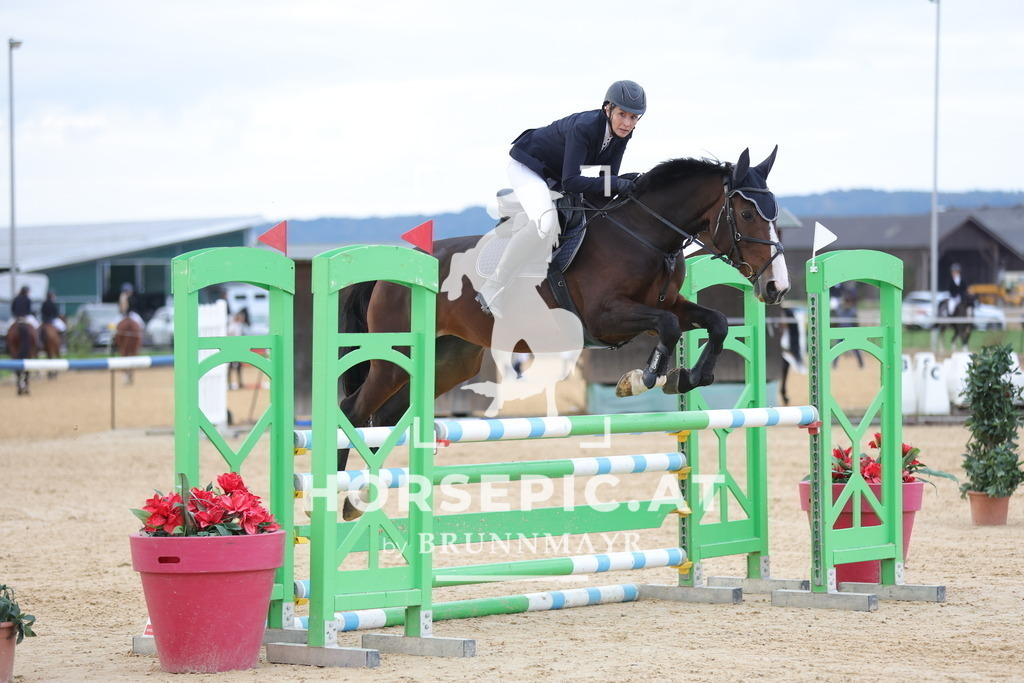 0P6A0092 | Willkommen bei Brunnmayr - Design & Fotografie – Ihrem Spezialisten für Reitturniere und Pferdeveranstaltungen in Oberösterreich, Salzburg und Bayern! Seit über 17 Jahren sind wir leidenschaftlich dabei.