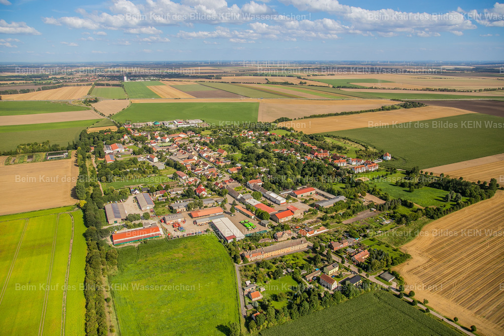 sülztetal-2565 | Sülzetal - Realisiert mit Pictrs.com