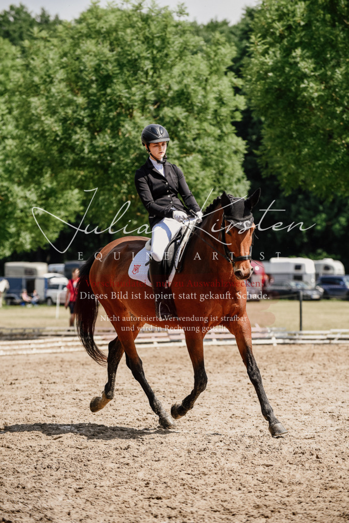 DSC_0996 | Pferde- und Turnierfotografie in Westsachsen. Pferdeportraits, Auftragszeichnungen und intuitive Kunst.