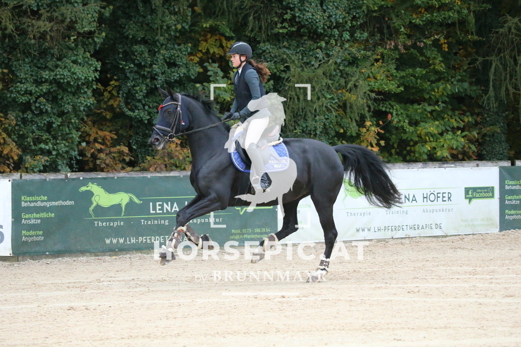 DL2Q3781 | Willkommen bei Brunnmayr - Design & Fotografie – Ihrem Spezialisten für Reitturniere und Pferdeveranstaltungen in Oberösterreich, Salzburg und Bayern! Seit über 17 Jahren sind wir leidenschaftlich dabei.