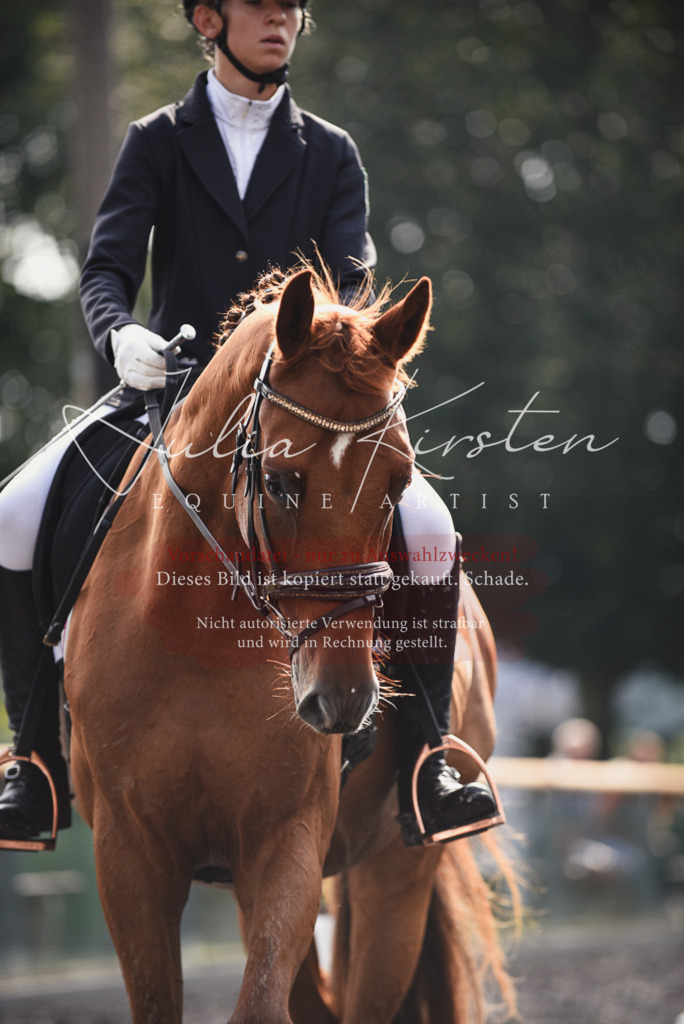 DSC_3591 | Pferde- und Turnierfotografie in Westsachsen. Pferdeportraits, Auftragszeichnungen und intuitive Kunst.