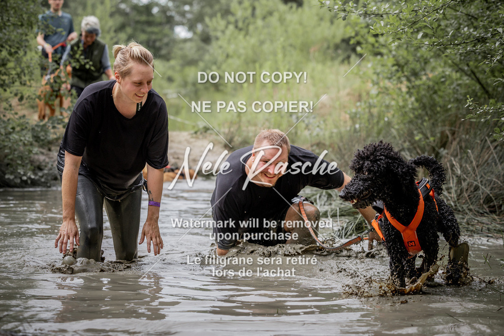 nelerasche_so0800-0930_223 | nelerasche