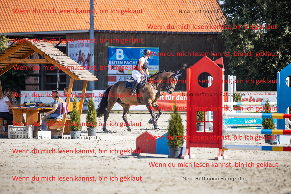 BK1A7235 | Turnierbilder Turnierfotos Nina Hüffmann Turnierfotografie Pferdefotografie Tierzeichnung Haustierzeichnung Pferdezeichnung Hundezeichnung Videograf  - Realisiert mit Pictrs.com