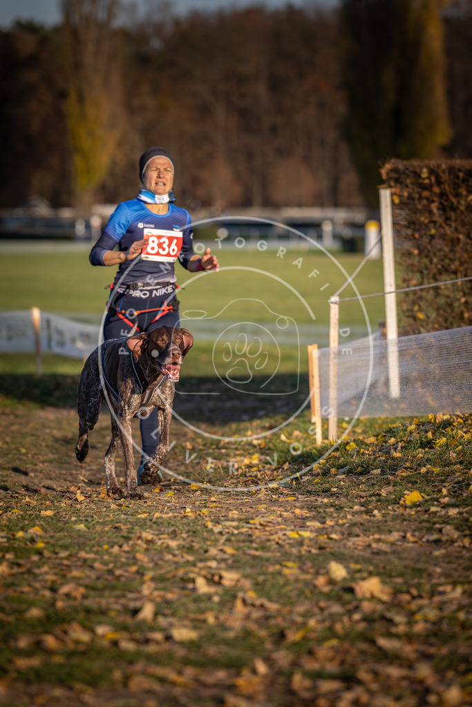 CaniXpix_DV3A3524 | Hundefotografie, Tierfotograf, Pfotenfotografie, Fotoshooting Hund, Hunde Portrait, Hundesport, Hundeportraits, Heideshooting, Hunde, Sportfotograf, Hundefotograf, Turnierhundsport, THS,  - Realisiert mit Pictrs.com