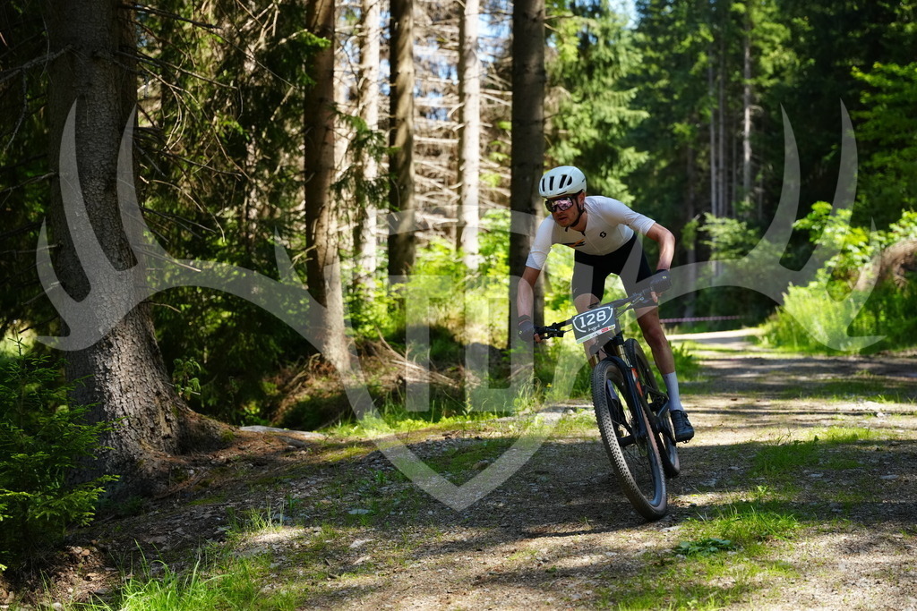 FC101456 | Fotogalerie der Treibjagd im Dunkelwald - Dein MTB Etappenrennen im Erzgebirge - Realisiert mit Pictrs.com