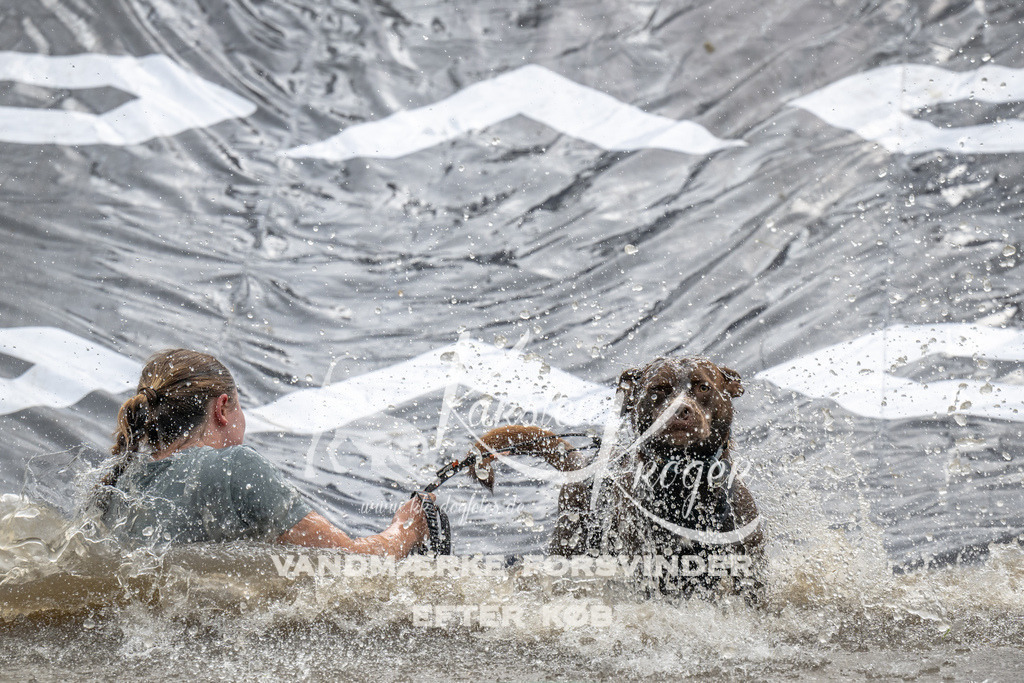 1419_ZZ90047 | kk-dogfotos