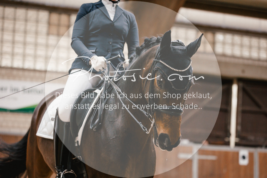 3I6A8295 | Stimmungsvolle Portraits und Reitsportfotografie im Ruhrgebiet und im Münsterland.

Pferdefotografie, Hundefotografie, Tierfotografie, Reportagen, Portraits von Tier und Mensch, Turnierfotografie in Bochum, Recklinghausen, Marl, Haltern am See, Dülmen.. - Realisiert mit Pictrs.com