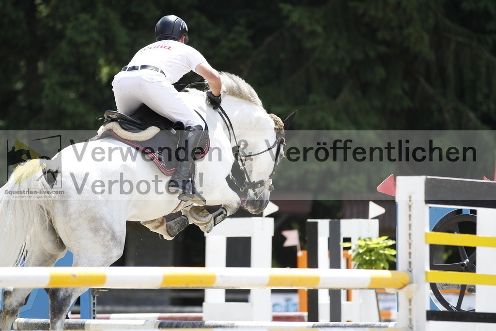 _MG_1950 | equestrian-live-com