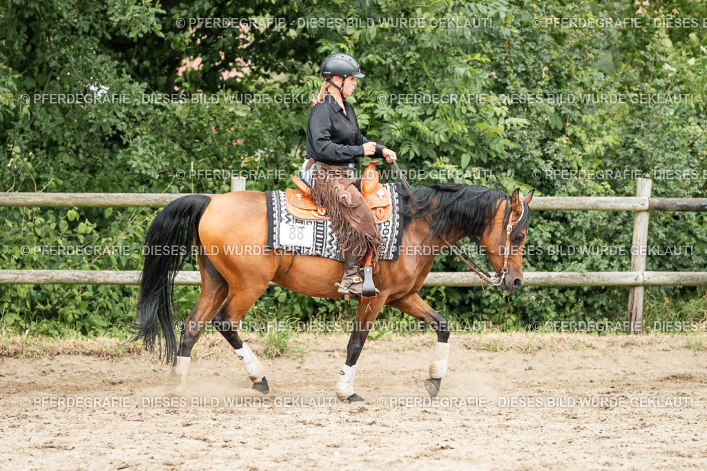 DSC04346 | Pferdegrafie