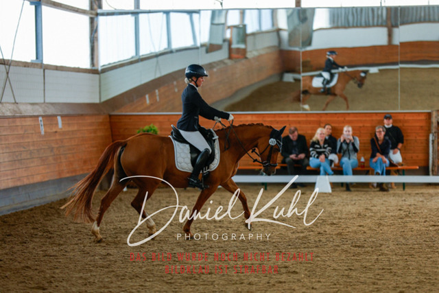 _62_6955 | Turniersportfotografie; Pferdefotografie; Dressurfotografie