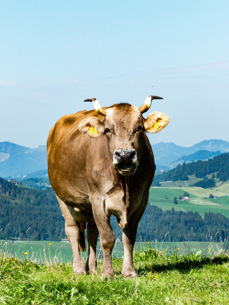 PSX_20230820_223108 | mtkfoto_ - Realisiert mit Pictrs.com