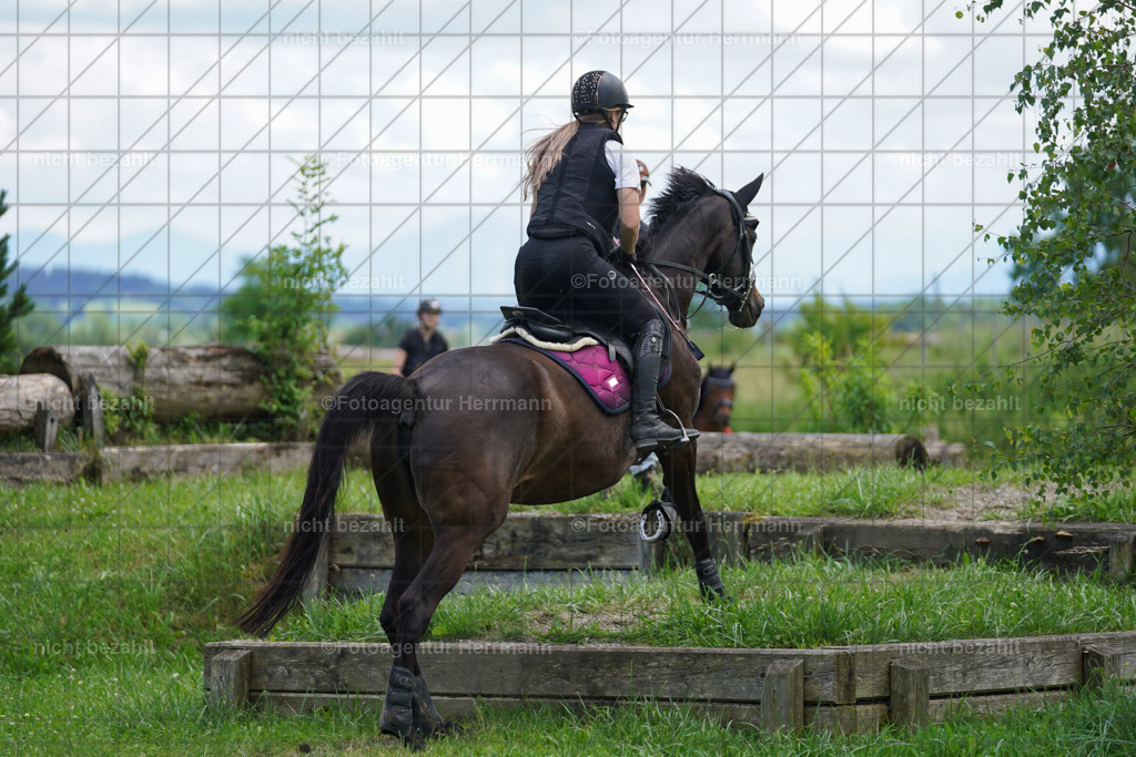 20240622-FAH07373 | Turnierfotografen Bayern, Reitsportbilder aus dem Geländekurs mit Felix Etzel auf dem Gut Waitzacker 2024
