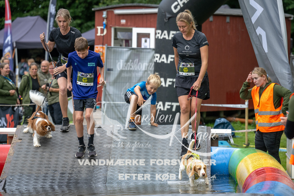 1436_ZZ91549 | kk-dogfotos