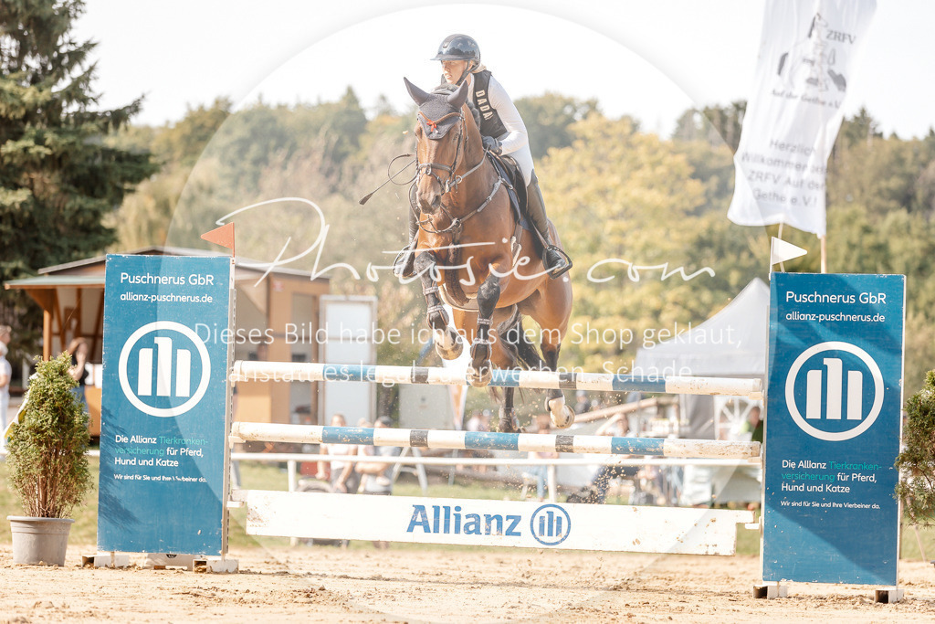 3I6A4795 | Stimmungsvolle Portraits und Reitsportfotografie im Ruhrgebiet und im Münsterland.

Pferdefotografie, Hundefotografie, Tierfotografie, Reportagen, Portraits von Tier und Mensch, Turnierfotografie in Bochum, Recklinghausen, Marl, Haltern am See, Dülmen.. - Realisiert mit Pictrs.com