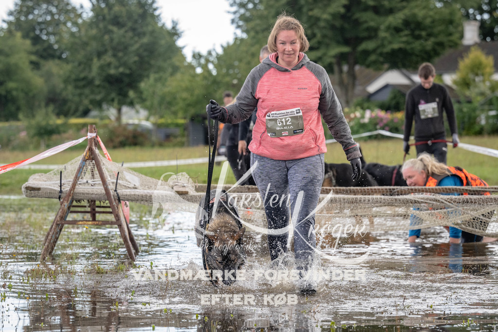 1500_ZZ90684 | kk-dogfotos