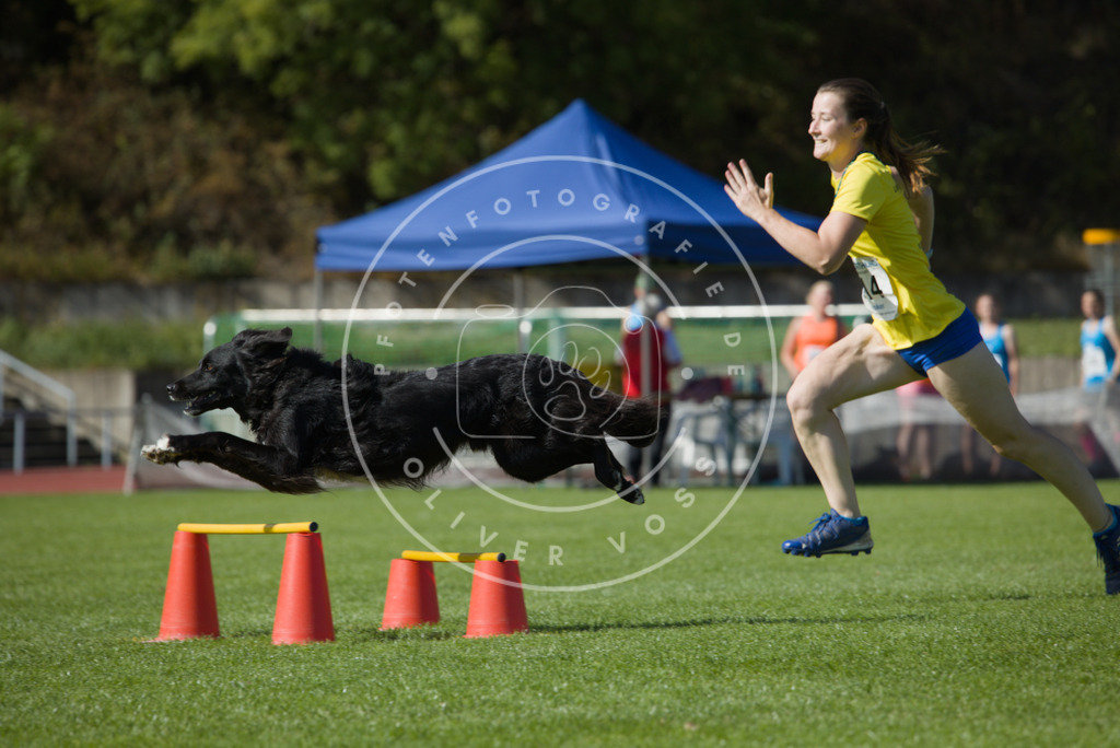 0L8A8040 | Hundefotografie, Tierfotograf, Pfotenfotografie, Fotoshooting Hund, Hunde Portrait, Hundesport, Hundeportraits, Heideshooting, Hunde, Sportfotograf, Hundefotograf, Turnierhundsport, THS,  - Realisiert mit Pictrs.com
