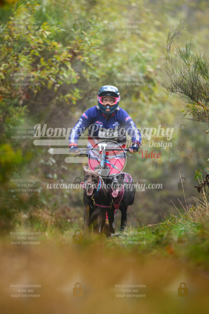 MompixPhotography_20TSB_E4_DS2-30 | PayLife