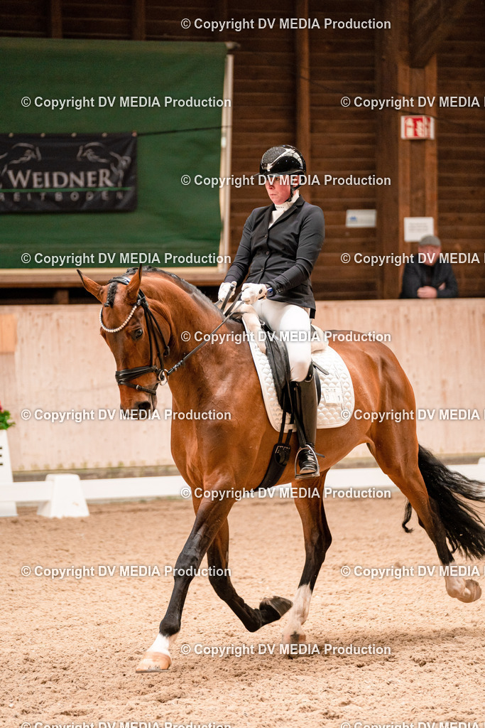 Dressur Tag 1 -137 | dv-media-shop - Realisiert mit Pictrs.com
