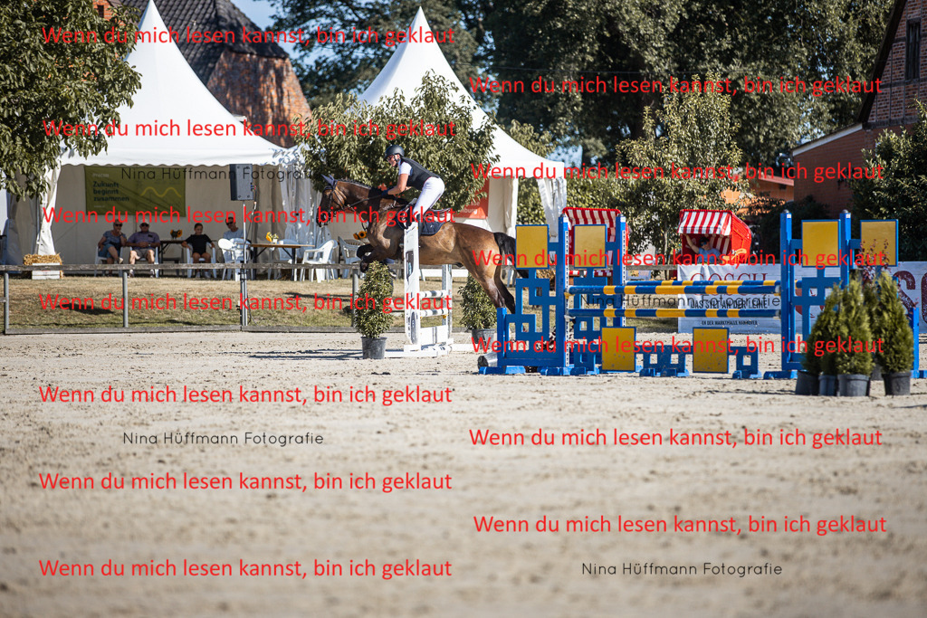 BK1A7236 | Turnierbilder Turnierfotos Nina Hüffmann Turnierfotografie Pferdefotografie Tierzeichnung Haustierzeichnung Pferdezeichnung Hundezeichnung Videograf  - Realisiert mit Pictrs.com