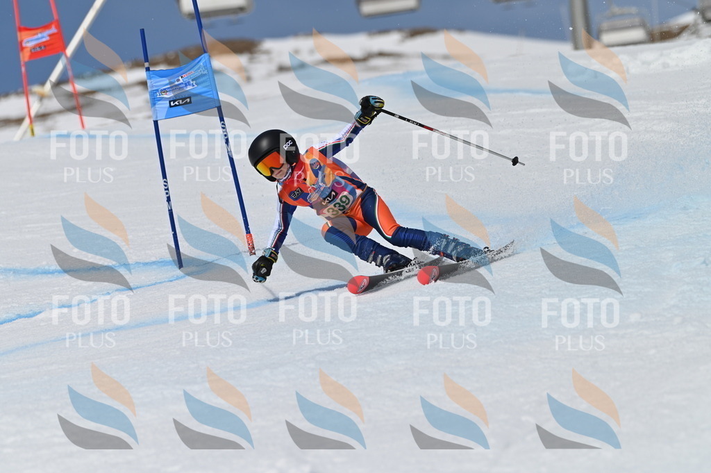 BGV_6722 | holidayphoto