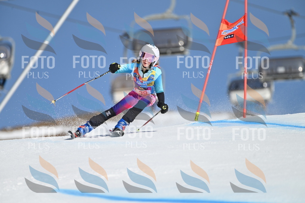 BGV_8326 | holidayphoto