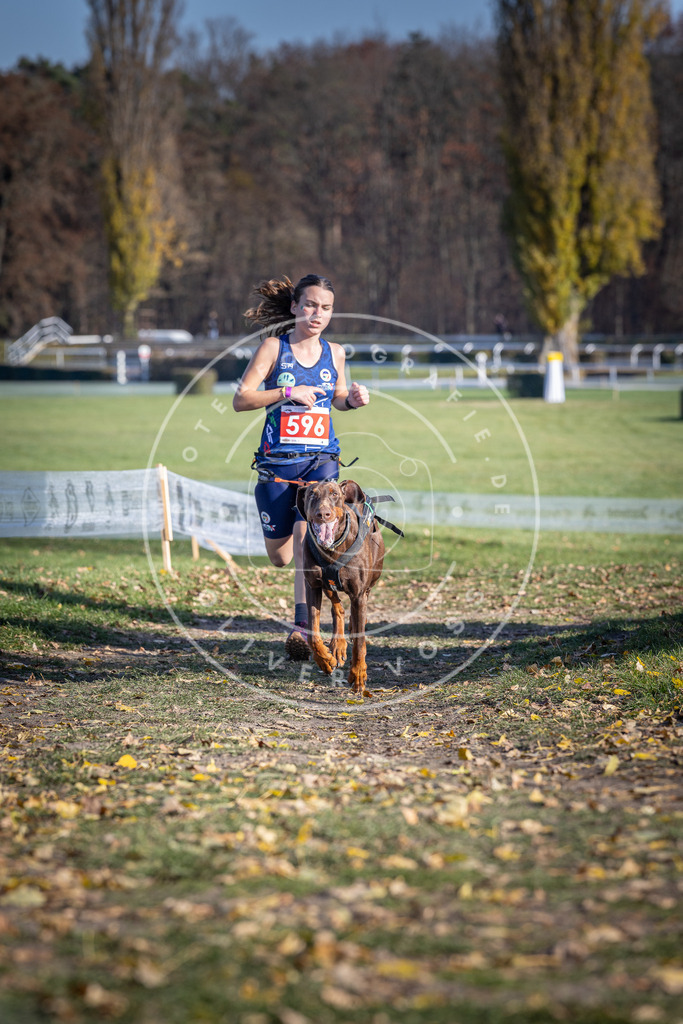 CaniXpix_DV3A9378 | Hundefotografie, Tierfotograf, Pfotenfotografie, Fotoshooting Hund, Hunde Portrait, Hundesport, Hundeportraits, Heideshooting, Hunde, Sportfotograf, Hundefotograf, Turnierhundsport, THS,  - Realisiert mit Pictrs.com