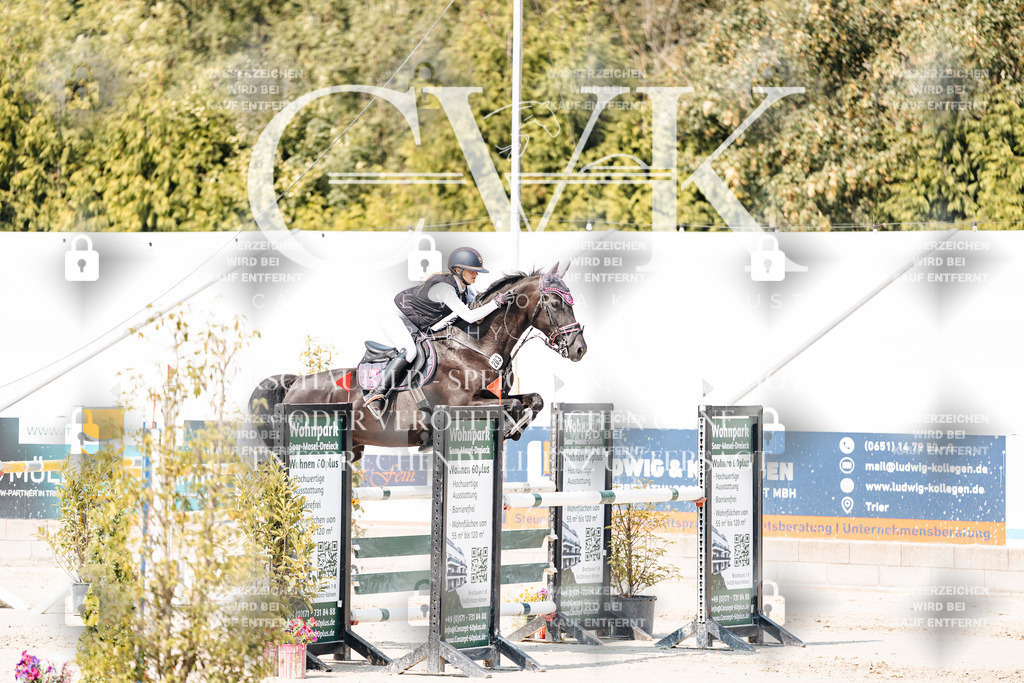 CK901586 | Turnierfotografie Pferdefotografie Trier Rheinland-Pfalz Pferdesport Reitsport Tierfotografie Sportfotografie Pferdevideo Pferdevideografie Equestrianvideography equestrianphotography  - Realisiert mit Pictrs.com