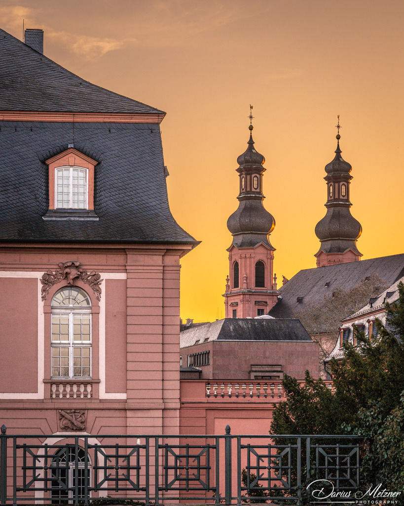 DSC_6770 2 | Fotografien, Fotos und Bilder aus Mainz, Frankfurt, Wiesbaden und anderen Orten auf der Welt - Fotografiert von Darius Metzner