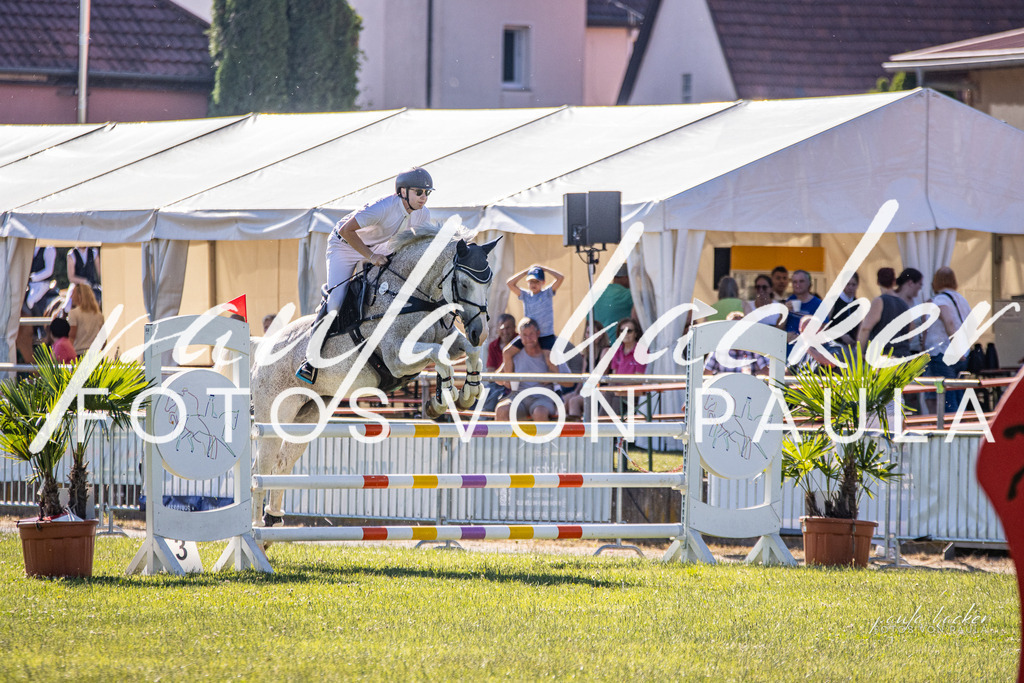 IMG_0086 | Erleben Sie dynamische Sport- und emotionale Tierfotografie in Süddeutschland mit Fotos von Paula. Spezialisiert auf Pferde- und Hundefotografie sowie Sportevents. Kontaktieren Sie mich für einzigartige und ausdrucksstarke Bilder Ihrer besonderen Momente. - Realisiert mit Pictrs.com