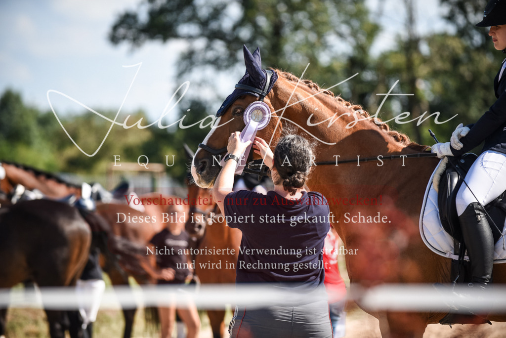 DSC_9705 | Pferde- und Turnierfotografie in Westsachsen. Pferdeportraits, Auftragszeichnungen und intuitive Kunst.