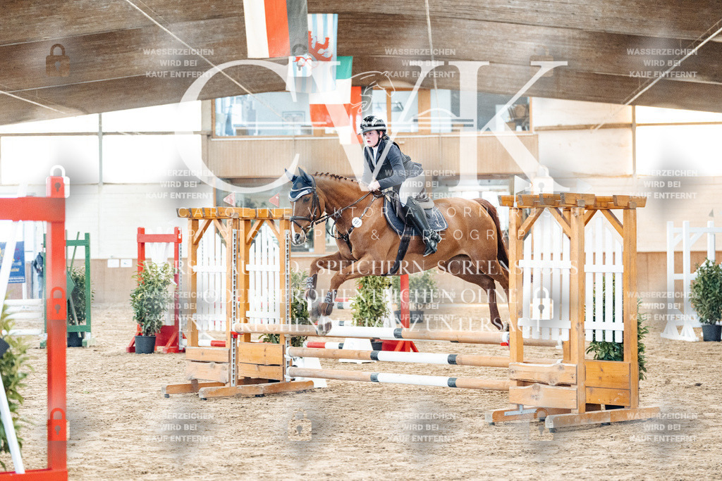 CK903727 | Turnierfotografie Pferdefotografie Trier Rheinland-Pfalz Pferdesport Reitsport Tierfotografie Sportfotografie Pferdevideo Pferdevideografie Equestrianvideography equestrianphotography  - Realisiert mit Pictrs.com