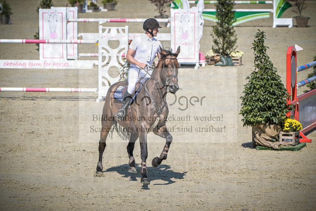 DOS_1749 | Entdecke hochwertige Reitturnierfotos von Foto Oger. Professionell, emotional und authentisch – jetzt Lieblingsmomente im Shop bestellen.Deutschlandweite Turnierfotografie. - Realisiert mit Pictrs.com