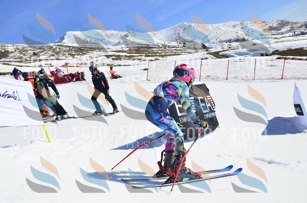 _ELE9882 | holidayphoto