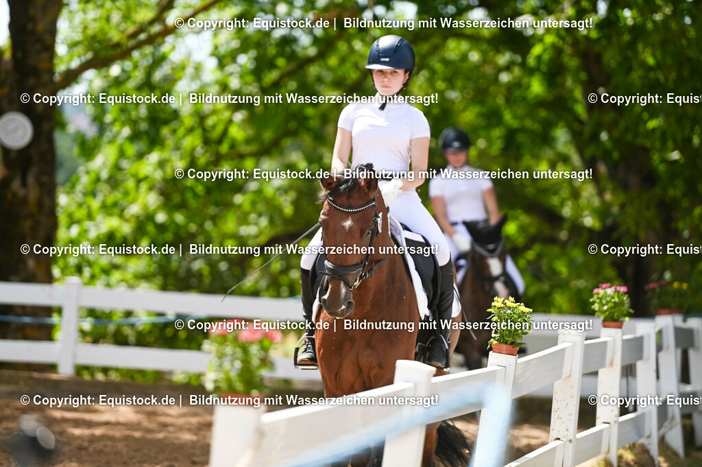 20230715_09_Dressur-WB_0163 | equistock